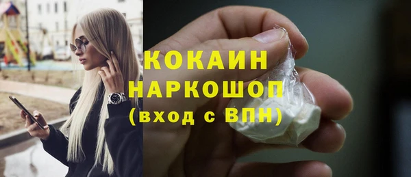 твердый Арсеньев