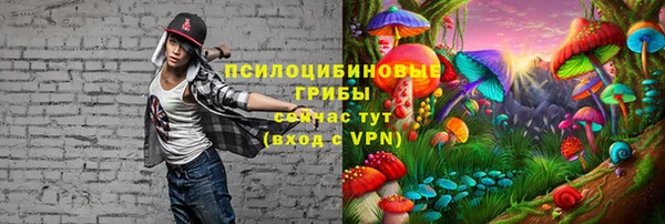 эйфоретик Алексеевка