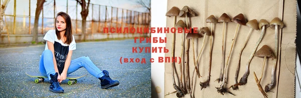 МДПВ Алексин