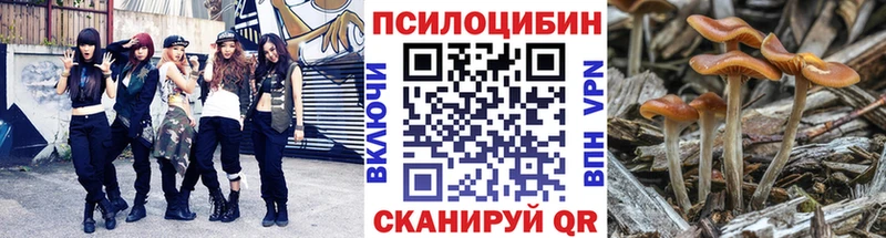 Галлюциногенные грибы MAGIC MUSHROOMS  Льгов 